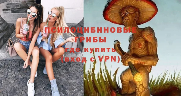 мдпв Вяземский