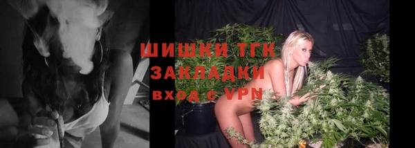 мдпв Вяземский