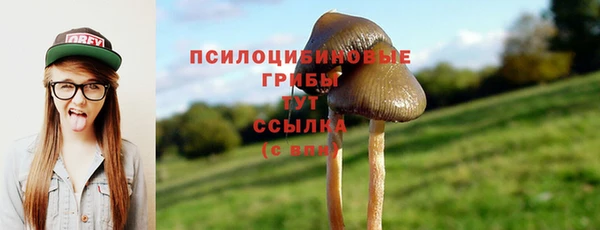 дурь Верея