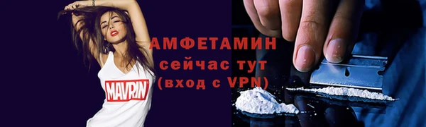 мдпв Вяземский