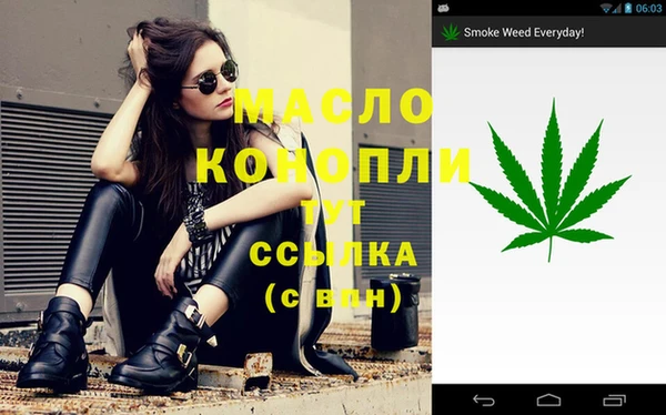 сатива Вязники