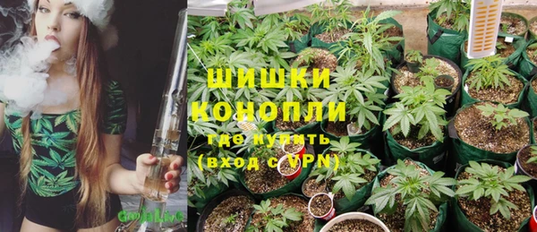 мдпв Вяземский